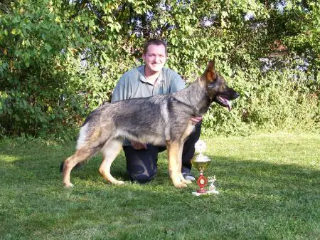 V1/CACIB/CAC/BOB Perle vom Werraufer