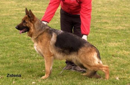 SG Waneska vom Funken Spiel