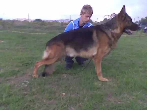 V1 (It S.A.S.) Bero dell'Isola dei Baroni