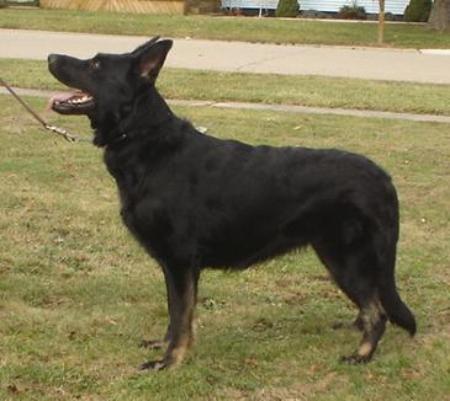 Chyna Von Haus Cimmerian