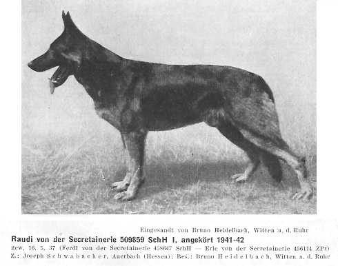 Raudi von der Secretainerie