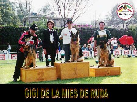 giggi de la mies de ruda