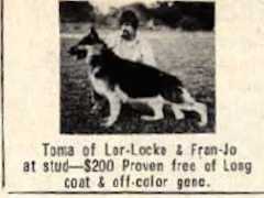 Toma of Lor-Locke and Fran-Jo