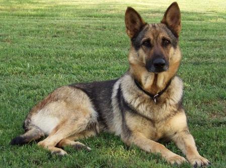 Machien v Anlaufstelle