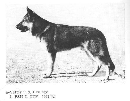 Vetter von der Heulage