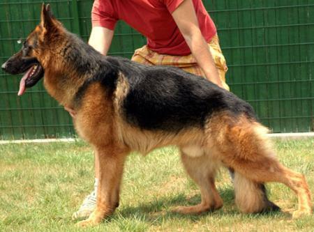 V3 (TR) Kai von Wassy