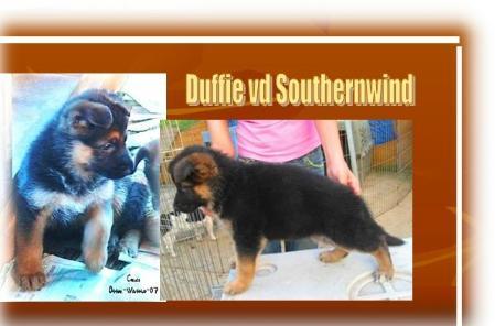 Duffie VD Southernwind