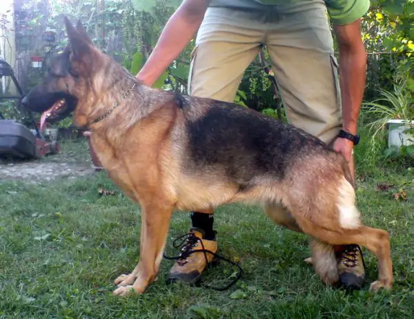 Quella von Bienenwald