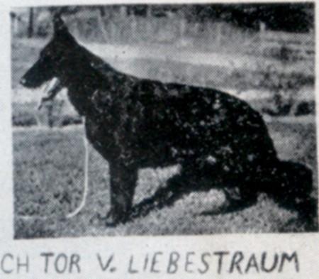 CH (US) Tor von Liebestraum