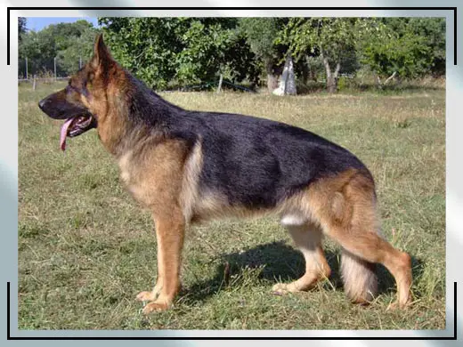 V (I) Orbit del Rione Antico