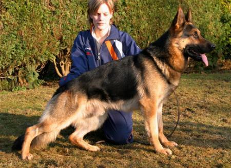 SG Mantul von der Salztal - Höhe