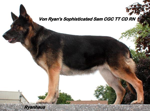 Von Ryan's Sophisticated Sam