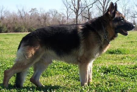 Holden Von Westmar