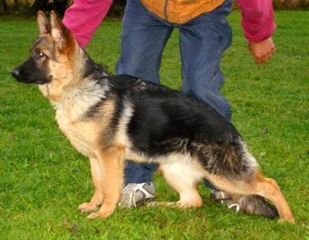 V Naomi von Seidenbach