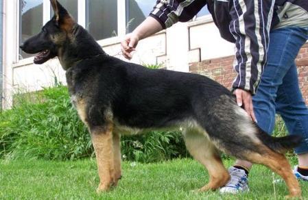 Hera vom kleinen Schutz