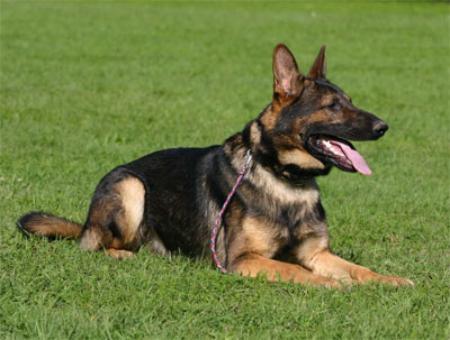 G Tucker von der Schiffslache