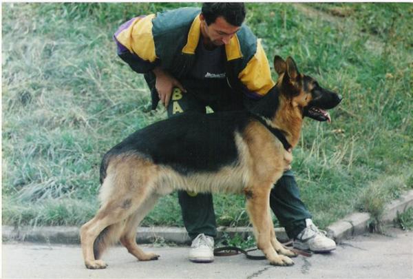 Yumbo von der Murrenhütte