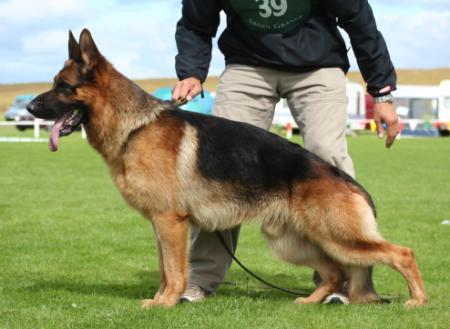 V4 (GB) Astroflash Cato