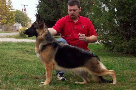 CH Geran's I Did It My Way