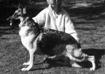 Woodside Only Fire Windigail