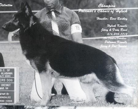 CH (US) Palamor's Chance of Hylock