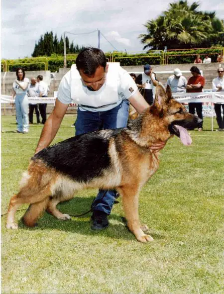 V(IT) cina della grande valle