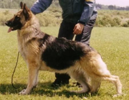 I've Got it All of Edan