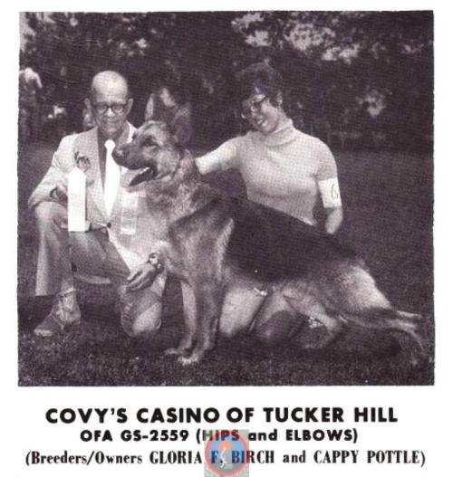 Covy's Casino of Tucker Hill