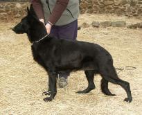 Von Hornberger's Sabrina