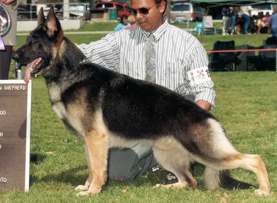 CH (US) Weicho's Taj Mahal