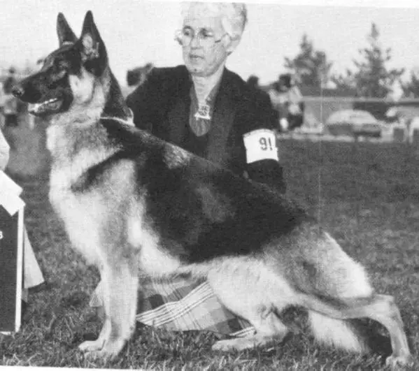 SEL CH (US) Covy Tucker Hill's Jordache