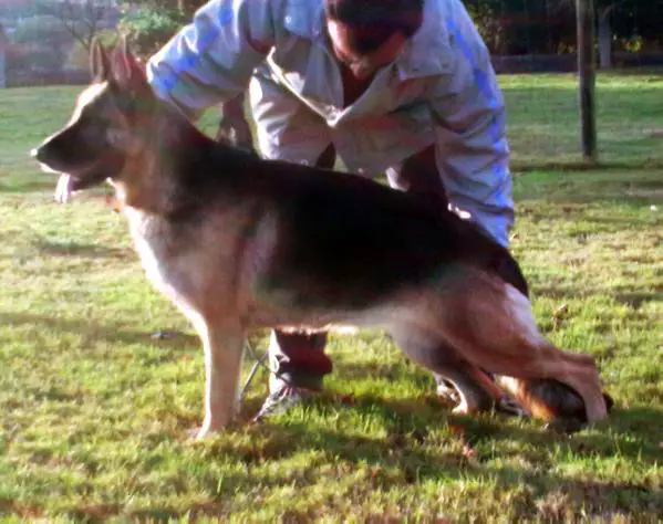 Gala de Cuatro Flores