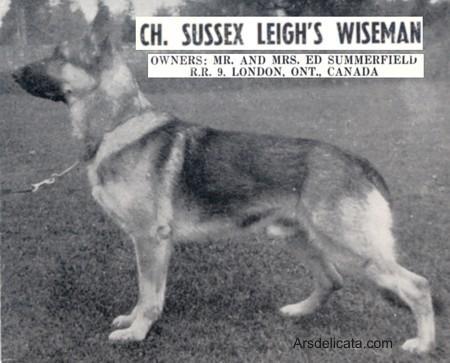 Sussex Leigh's Wiseman