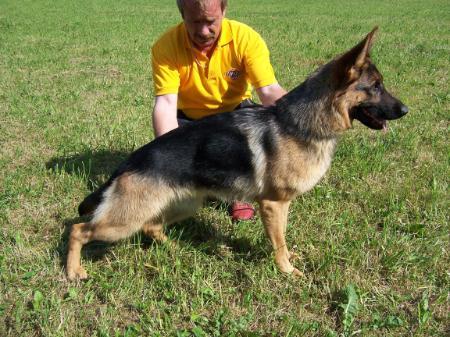 SG (RO),2XV 1,  2CAC Cori von Batu