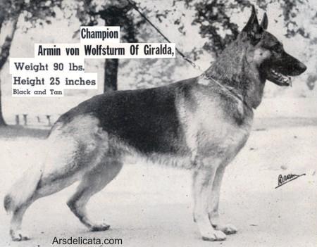 CH (US) Armin von Wolfsturm