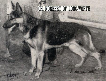 CH (US) Norbert of Long-Worth