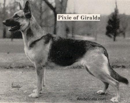 CH (US) Pixie of Giralda