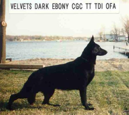 Velvets Dark Ebony