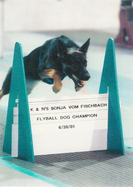 K and N's Sonja vom Fischbach