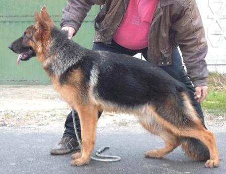 nina dell'isola dei baroni