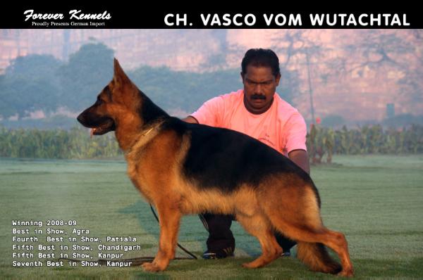 CH. Vasco Vom Wutachtal