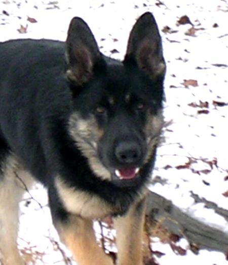 PSD Tyler vom Floyd Haus
