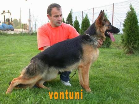 isa von tuni