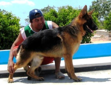 Vito Von Der Spinerau