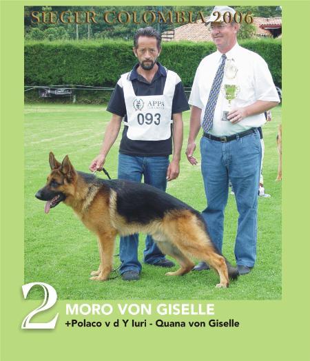 EXC COL Moro von Giselle