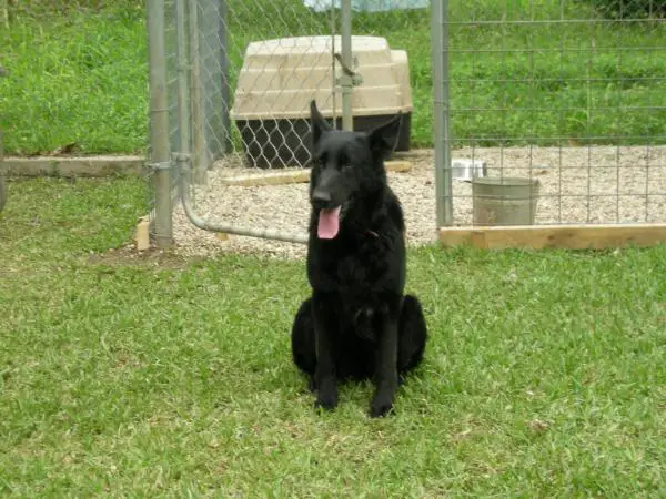 Serenity's Mississippi