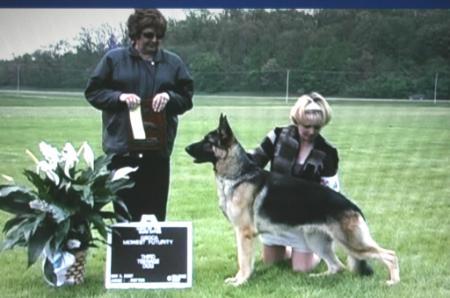 Winsome's Ashton Kutchbear