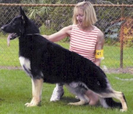 CH (US) Melana's Murphy's Law