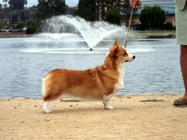 Tamera's Seventh Wonder