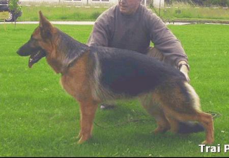 SG 2 Odessa vom Ittlinger Moos